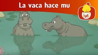 La vaca hace mu El hipopótamo  Luli TV [upl. by Anrak]