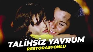 Talihsiz Yavrum  Fatma Girik Eski Türk Filmi Tek Parça Restorasyonlu [upl. by Nalliuq]