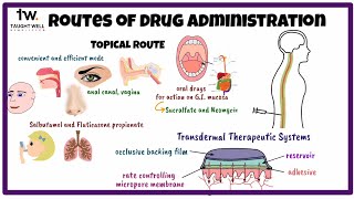 Routes of drug administration  Pharmacology [upl. by Esylle]