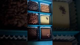 Sweet chocolate goodness  venchi chocolate  NYC goodies [upl. by Ylaek]