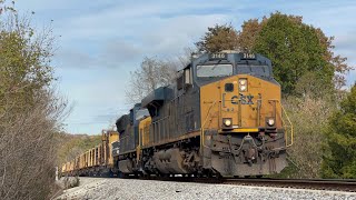 CSX ES44AH 3146 Leads Rail Train W02829 on 11424 [upl. by Ran]