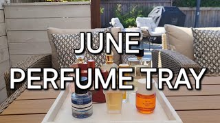 JUNE PERFUME TRAY  MAY TRAY RECAP  RAPID REVIEWS ON POPULAR FRAGRANCES [upl. by Haik]