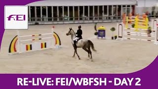 ReLive  FEIWBFSH  World Breeding Jumping Chps f Young Horses  6yearold horses [upl. by Mata968]