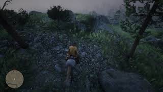 RDR2  Arthur Morgans grave location [upl. by Bonina]