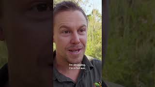 Pulling Out Longest Snake From A Drainpipe 😵  Bondi Vet shorts [upl. by Tobias438]