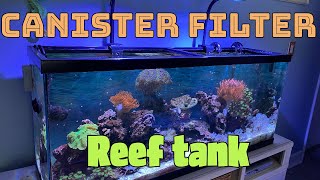 Simple Saltwater Tank w Canister filter [upl. by Erdnassac]