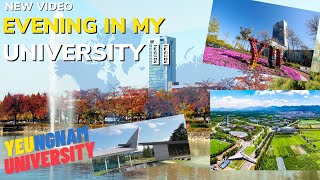 YEUNGNAM UNIVERSITY Walking Tour My University in KOREA🇰🇷 [upl. by Lebasiram]