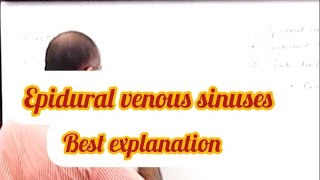 Epidural venous sinuses anatomy medical mbbs bds trending viralvideo [upl. by Hgeilhsa]