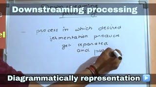 Downstream processing in hindi ll biology ll [upl. by Enitsirhk]