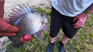 EPIC Fishing In The Murray River At Tocumwal Including Yellowbelly And Silver Perch [upl. by Thaddaus]