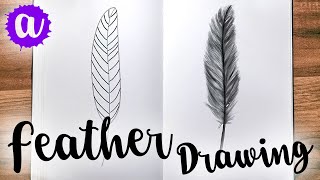 Easy Feather Drawing in 10 Steps [upl. by Noman]