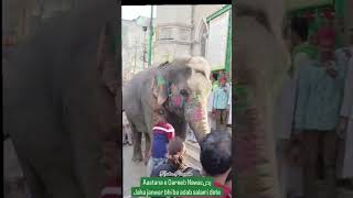 Elefant in ajmer Sharif dargah bazar bazar Nizam Gate Road Gate1 Youtubeshorts ytstudio Shorts [upl. by Dona]