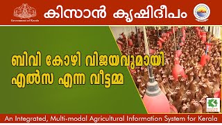 Documenatary on poultry rearing  BV380 variety  kissan krishideepam Episode 656 [upl. by Nena]