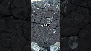 Igneous vs Metamorphic Rocks Whats the Difference [upl. by Areis]