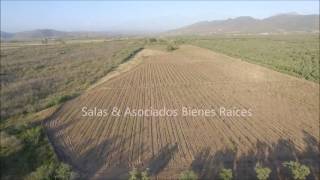 14 hectáreas en valle de Guadalupe Viñedo agua electricidad casa [upl. by Irrek321]