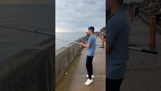 Mackerel Fish  Mackerel Fish Newhaven  mackerelfish bestfishingvideos hookfishing fishinguk [upl. by Ekyt]