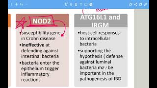 Gi Pathology lec 6 part 1 inflammatory bowel disease [upl. by Ahsha901]