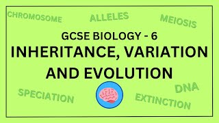 AQA GCSE Biology in 10 Minutes  Topic 6  Inheritance Variation and Evolution [upl. by Ninaj]