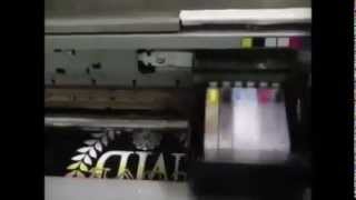 Imprimanta pentru tricouri  Printer de textile SL2300TX cu cerneala alba [upl. by Ikey]