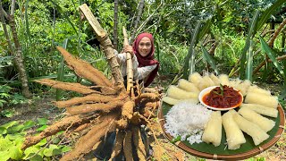 NIKMAT BETUL UBI KAYU MASAK MACAMNI  Ubi kayu rebus sambal amp kelapa parut [upl. by Hogen]