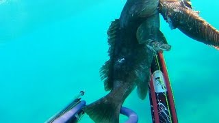 spearfishing antalya zıpkınlabalıkavı [upl. by Aicilanna542]