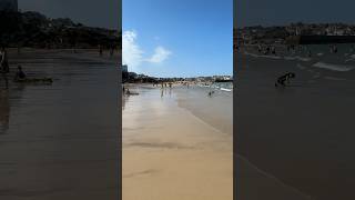 Porthminster Beach St Ives Cornwall Views Over to Godrevy Lighthouse stives cornwall lighthouse [upl. by Aiykan]