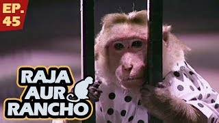 राजा और रैंचो  Episode 45  Raja Aur Rancho  90s Best TV Shows [upl. by Vento237]