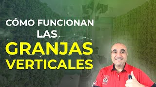 Qué son las Granjas Verticales y cómo funcionan [upl. by Jillie]