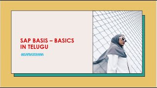 SAP BASIS  BASICS IN TELUGU [upl. by Kilar]