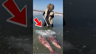 ये आदमी मछली की बर्फ से जान बचाता है  ice fish  shortsvideo [upl. by Wartow]