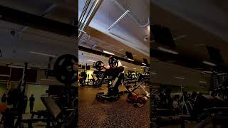 Machine Rear Delt Flys  Seated Easy Bar Preacher Curls  Bicep Finisher [upl. by Akered33]