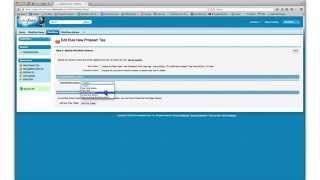 Salesforce Workflow for Professional Edition  Demonstration [upl. by Heisel]