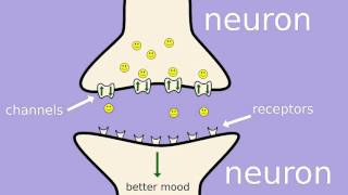 How does fluoxetine Prozac work [upl. by Bucher]