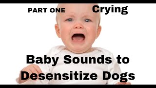 Baby Crying Sounds For Desensitizing Dogs [upl. by Eadahc702]