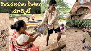 పెదవలసల పీతలు మార్కెట్ pedavalasa crabs market in East Godavari [upl. by Aras]