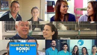 Compilation 3  Search for the New Bondi Vet [upl. by Yniar402]