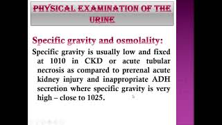 Investigations of renal diseases By Dr Ghada Elghazaly [upl. by Gaultiero]