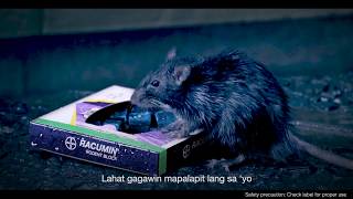 Racumin Rodent Block Video Basang Basa [upl. by Aramoiz]