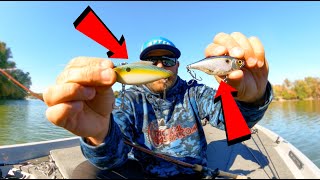 Lipless Crankbait Tricks You Need To Try  Stop Losing Fish [upl. by Eiddam]