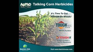 AgPhD Corn Herbicides October 23 2024 Tom Wood [upl. by Ynaffi]