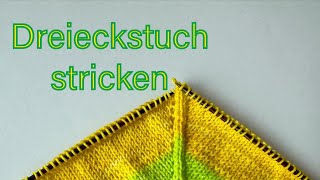 Einfaches Dreieckstuch stricken Anleitung für Anfänger stricken dreieckstuch DIY Anfänger [upl. by Aehtrod]