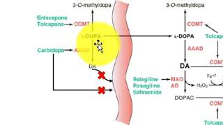 Fármacos Antiparkinsonianos [upl. by Goodson]