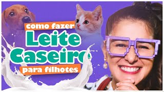 O LEITE CASEIRO MAIS COMPLETO PARA FILHOTES DE CÃES E GATOS [upl. by Notlok]