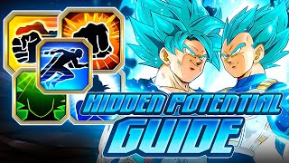 HIDDEN POTENTIAL GUIDE HOW TO BUILD EZA SSBKK GOKU AND SSBE VEGETA HIDDEN POTENTIAL Dokkan Battle [upl. by Rheinlander333]