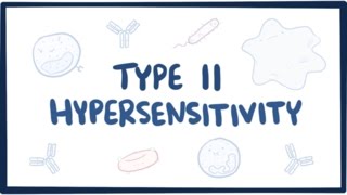 Type II hypersensitivity cytotoxic hypersensitivity  causes symptoms amp pathology [upl. by Neellek]