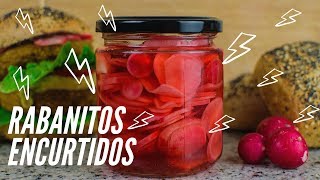 Receta de ENCURTIDO DE RABANITO 💯  Rápido y Fácil [upl. by Aia951]