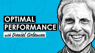 Sustainable Excellence w Daniel Goleman RWH039 [upl. by Hooke]