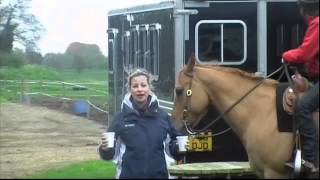 AQHA UK Spring Show Day 3 [upl. by Llen]