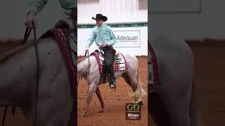 AQHA World Show 2024  L1 Western Riding Stakes [upl. by Lanuk979]