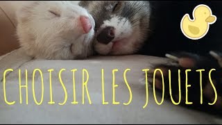 Choisir les jouets du furet  Les Furets Malins [upl. by Lorens]